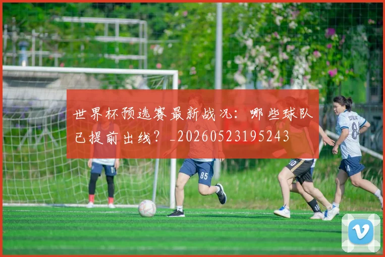 世界杯预选赛最新战况：哪些球队已提前出线？_20260523195243